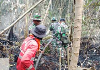 Karhutla di Inhu Meluas, Tim Gabungan Sisir 471 Hektare Lahan di Rengat